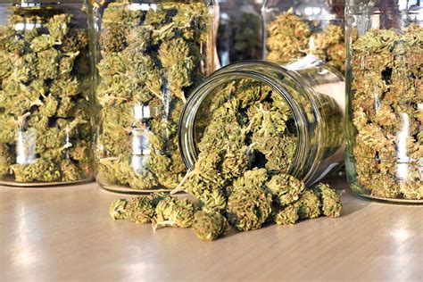 All Michigan marijuana purchases are subject to a 6% sales tax, including medical marijuana from dispensaries. Michigan’s recreational marijuana products are subject to an additional 10% excise tax, also imposed by the state. Tax revenues from cannabis are allocated proportionately to cities and counties that permit the cannabis industry as ...